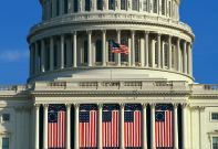 Flags on Capitol building